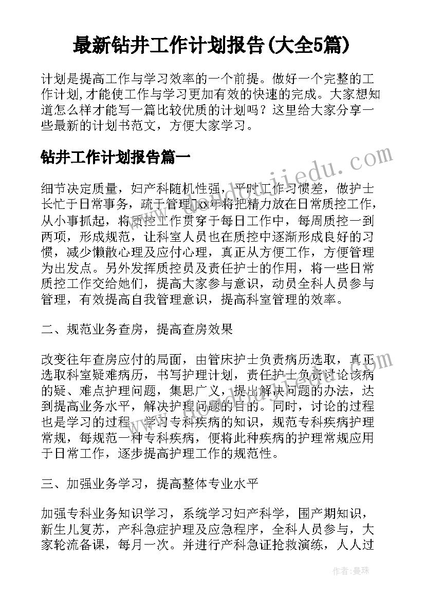 最新钻井工作计划报告(大全5篇)