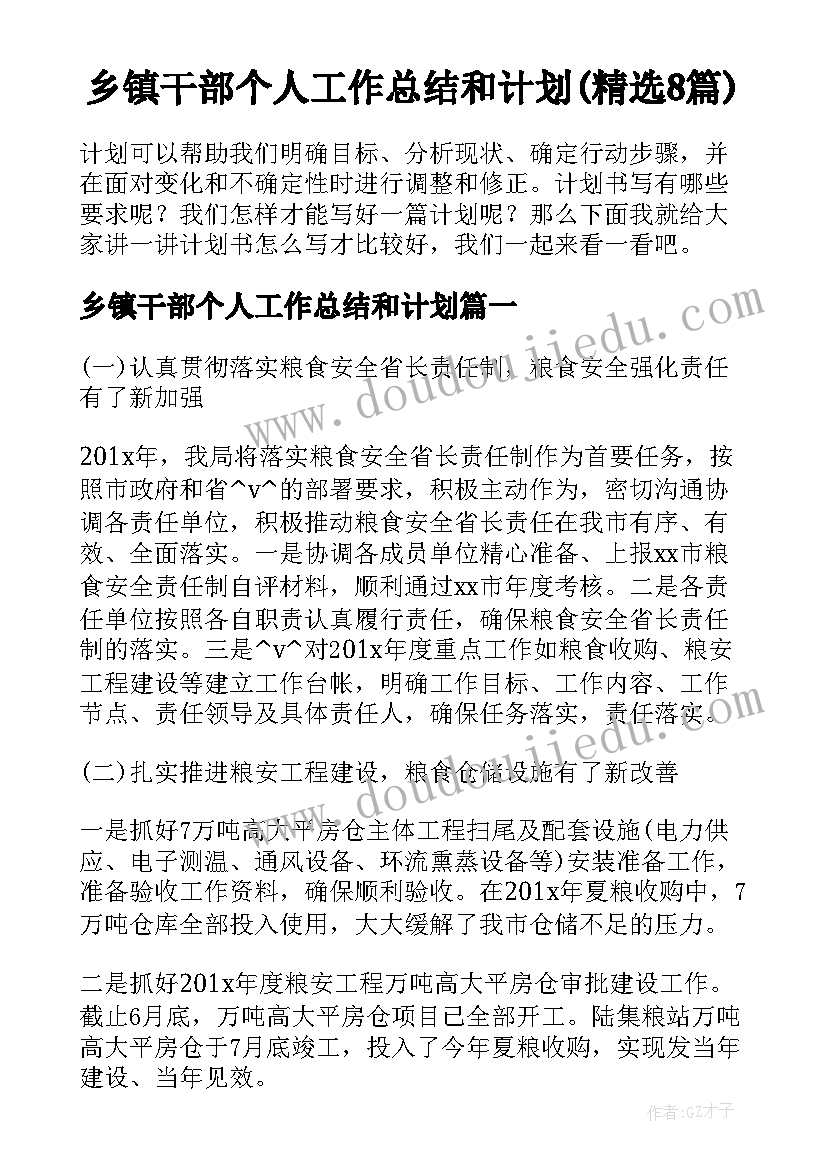 乡镇干部个人工作总结和计划(精选8篇)