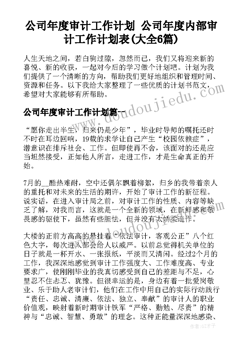 公司年度审计工作计划 公司年度内部审计工作计划表(大全6篇)