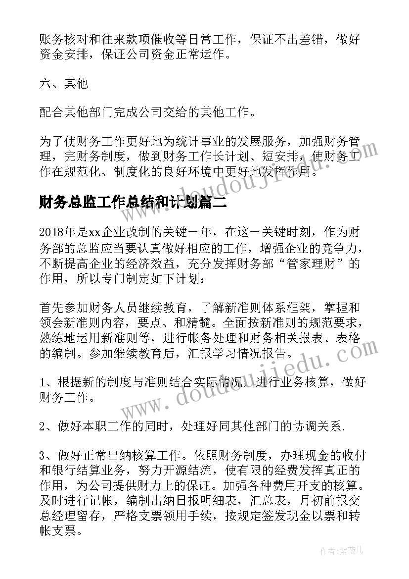 最新财务总监工作总结和计划 财务总监年度工作计划(汇总5篇)