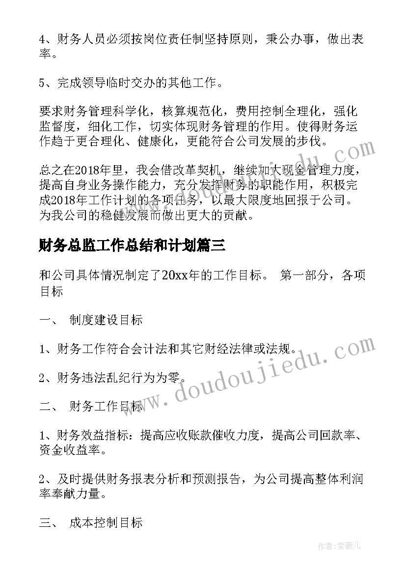 最新财务总监工作总结和计划 财务总监年度工作计划(汇总5篇)