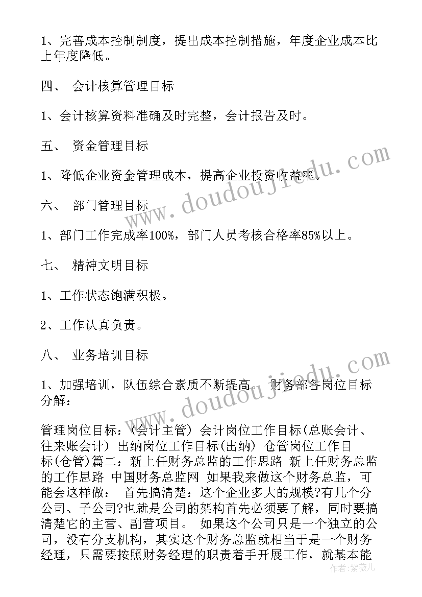 最新财务总监工作总结和计划 财务总监年度工作计划(汇总5篇)