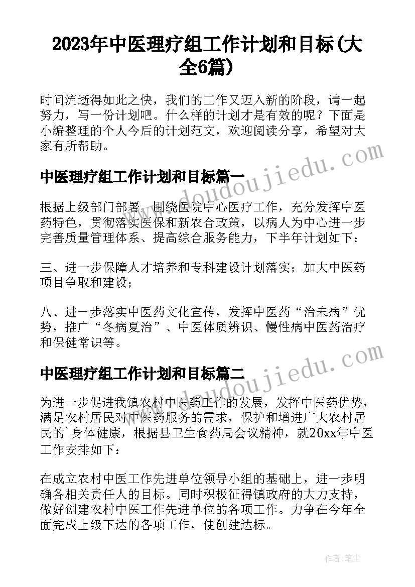 2023年中医理疗组工作计划和目标(大全6篇)