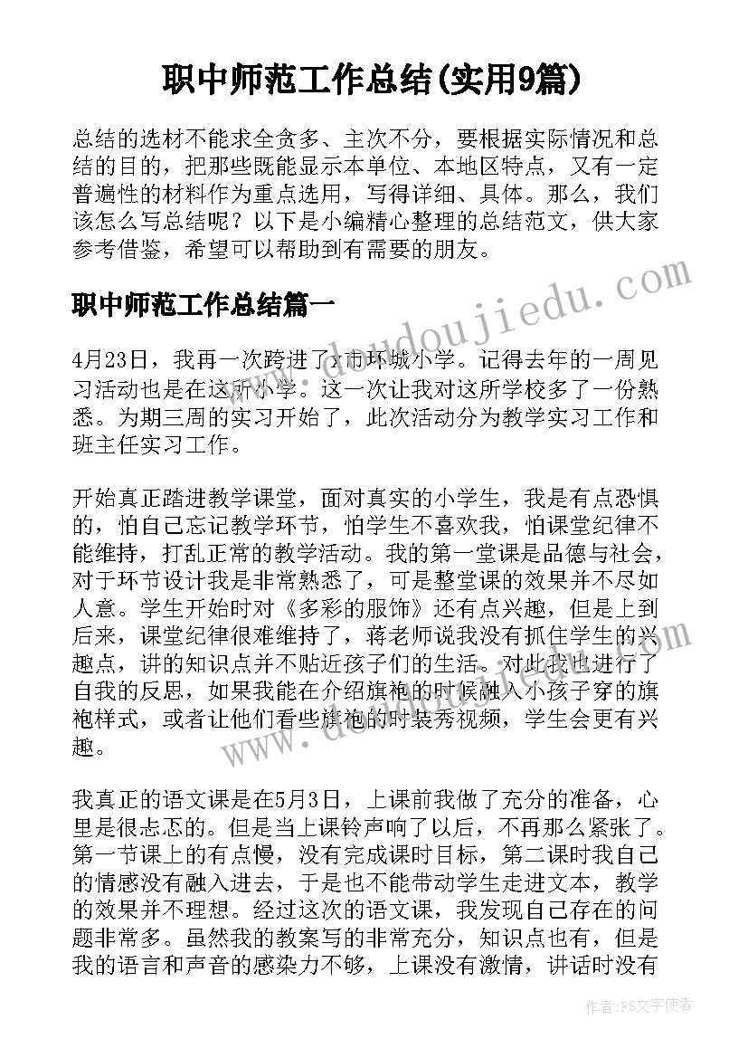 职中师范工作总结(实用9篇)