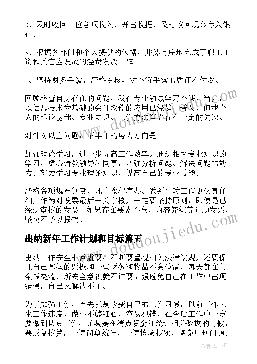 出纳新年工作计划和目标 出纳工作计划(汇总10篇)