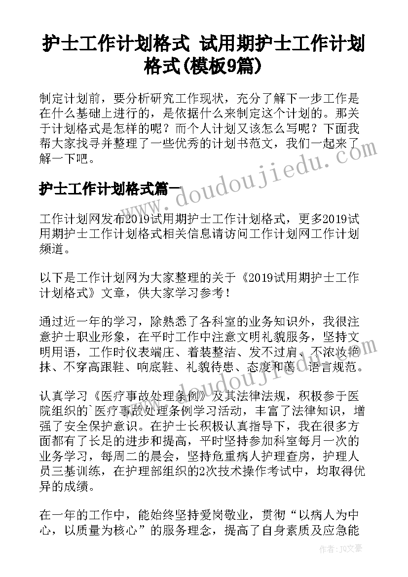 护士工作计划格式 试用期护士工作计划格式(模板9篇)