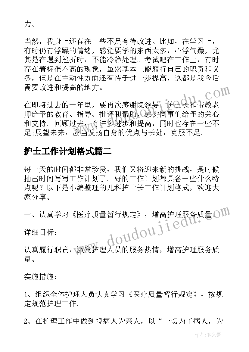 护士工作计划格式 试用期护士工作计划格式(模板9篇)