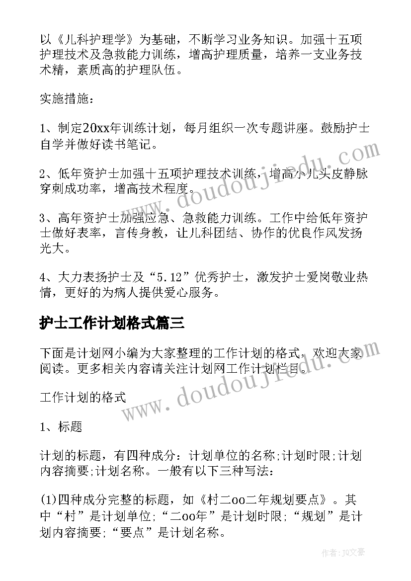 护士工作计划格式 试用期护士工作计划格式(模板9篇)