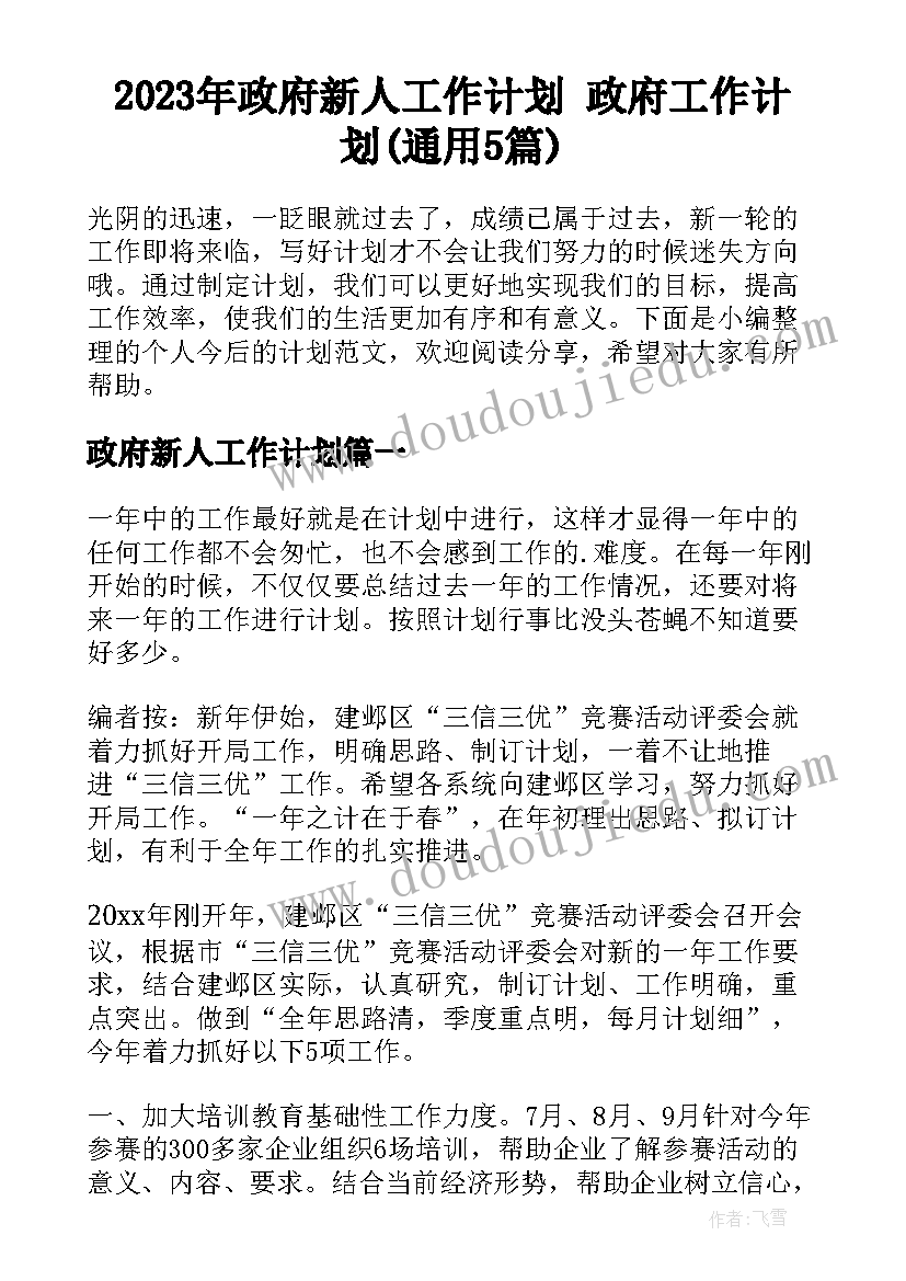 2023年政府新人工作计划 政府工作计划(通用5篇)