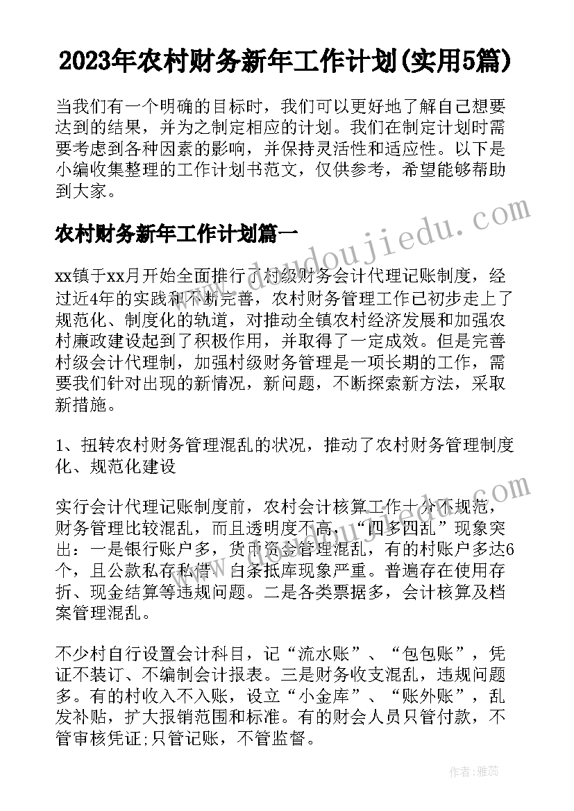 2023年农村财务新年工作计划(实用5篇)