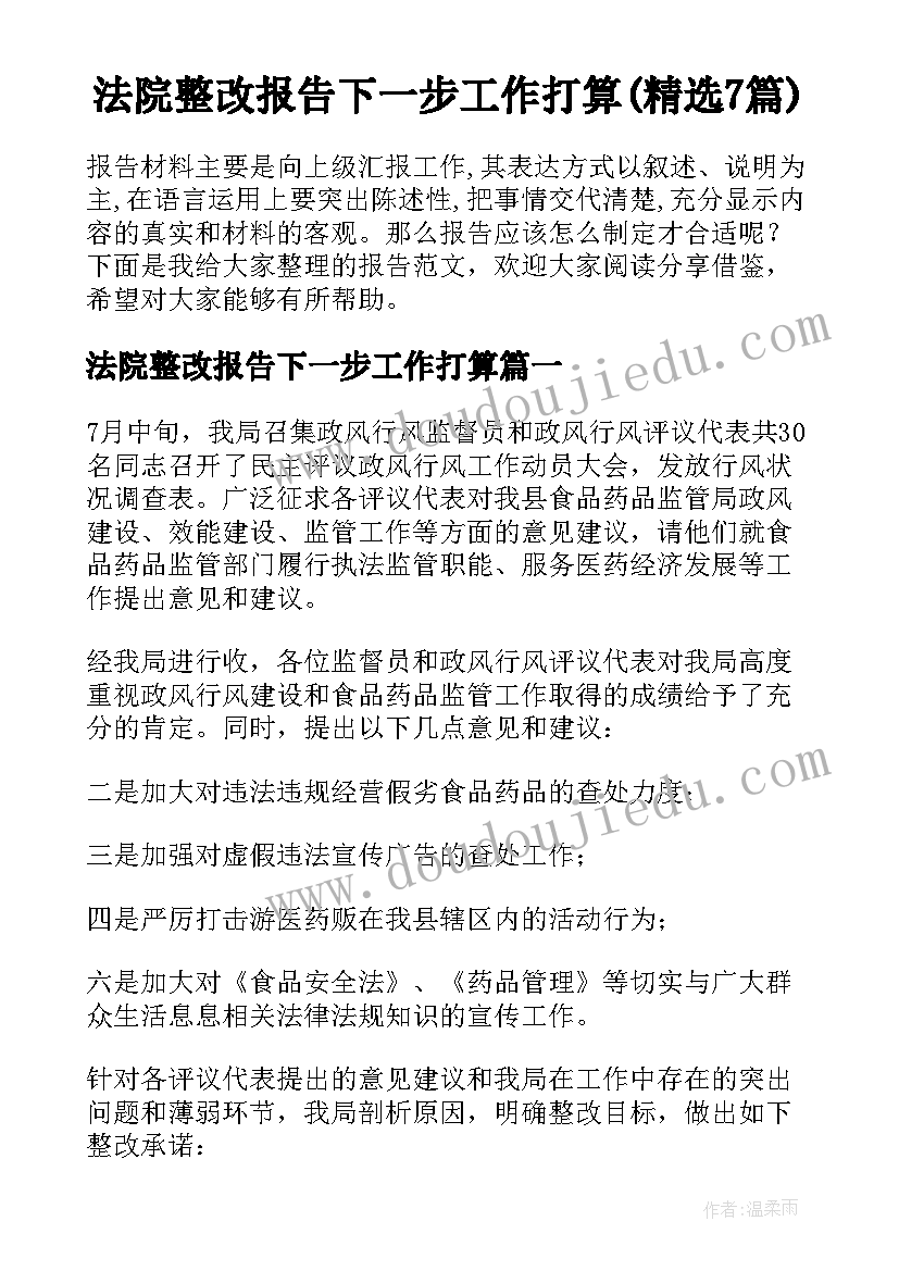 法院整改报告下一步工作打算(精选7篇)