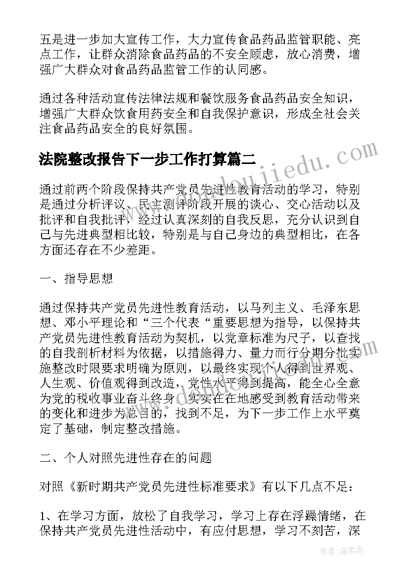 法院整改报告下一步工作打算(精选7篇)