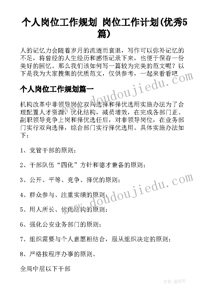 个人岗位工作规划 岗位工作计划(优秀5篇)