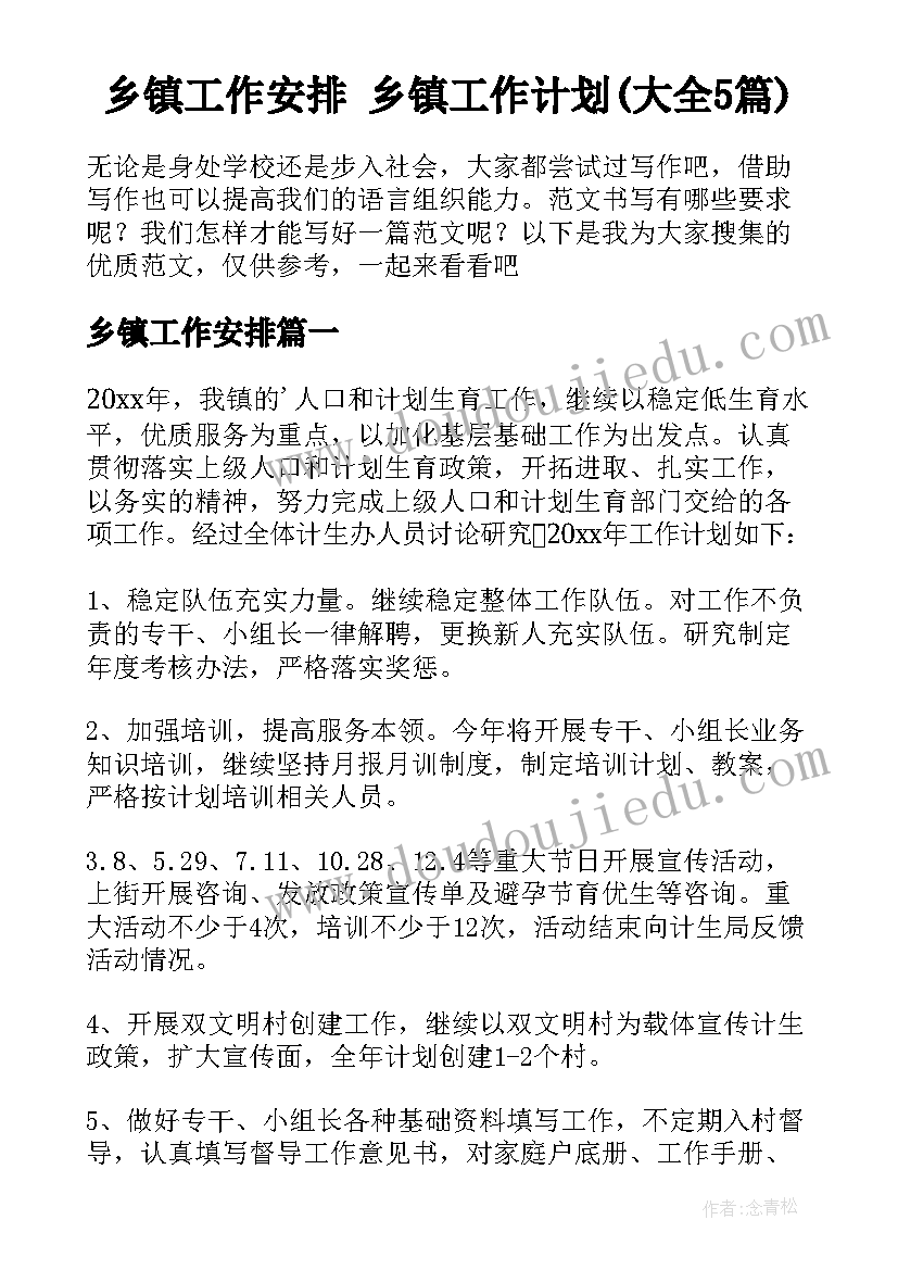 乡镇工作安排 乡镇工作计划(大全5篇)