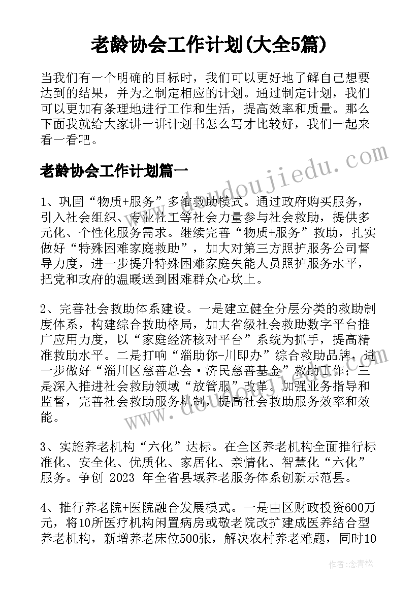 老龄协会工作计划(大全5篇)