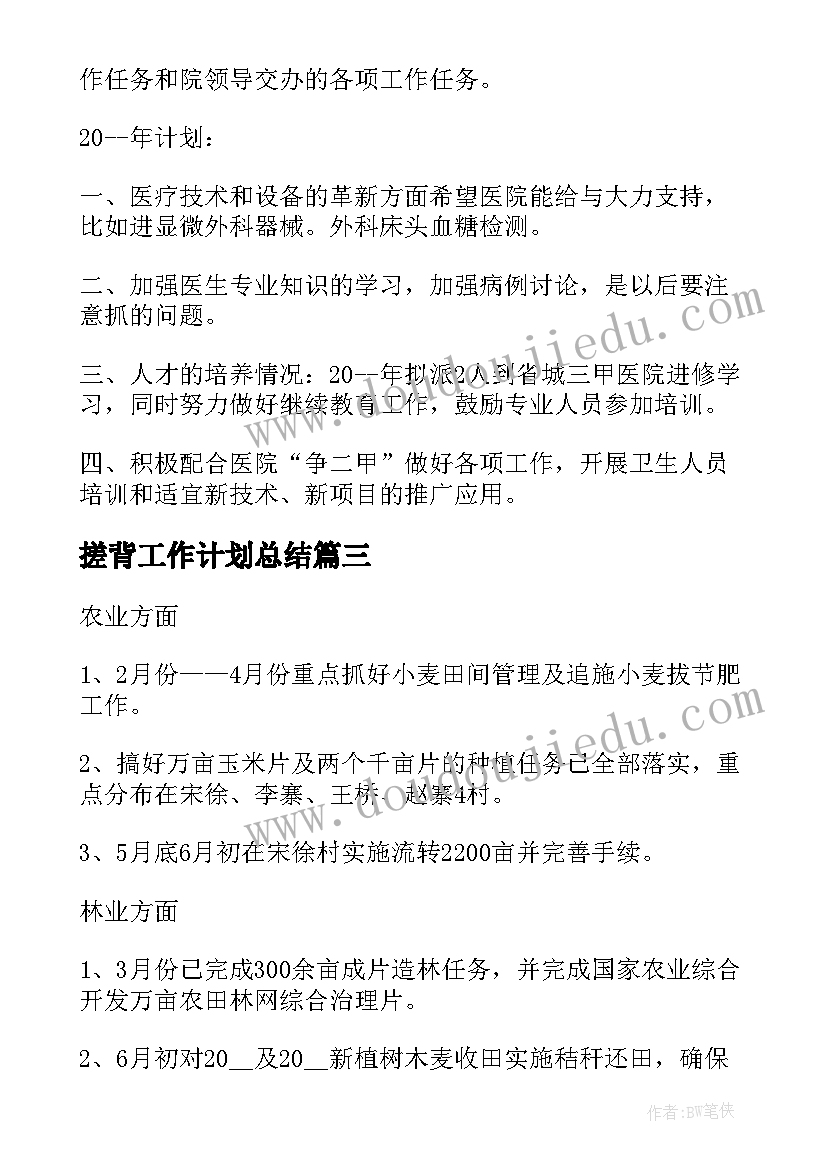 2023年搓背工作计划总结(精选9篇)