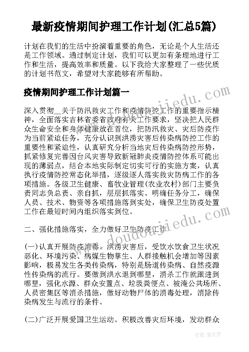 最新疫情期间护理工作计划(汇总5篇)