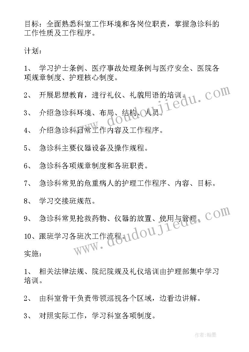 2023年急诊分诊护士工作计划(精选10篇)