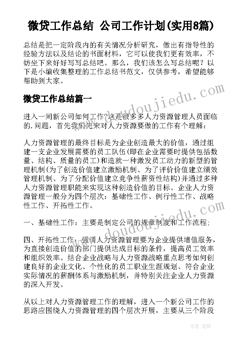 微贷工作总结 公司工作计划(实用8篇)