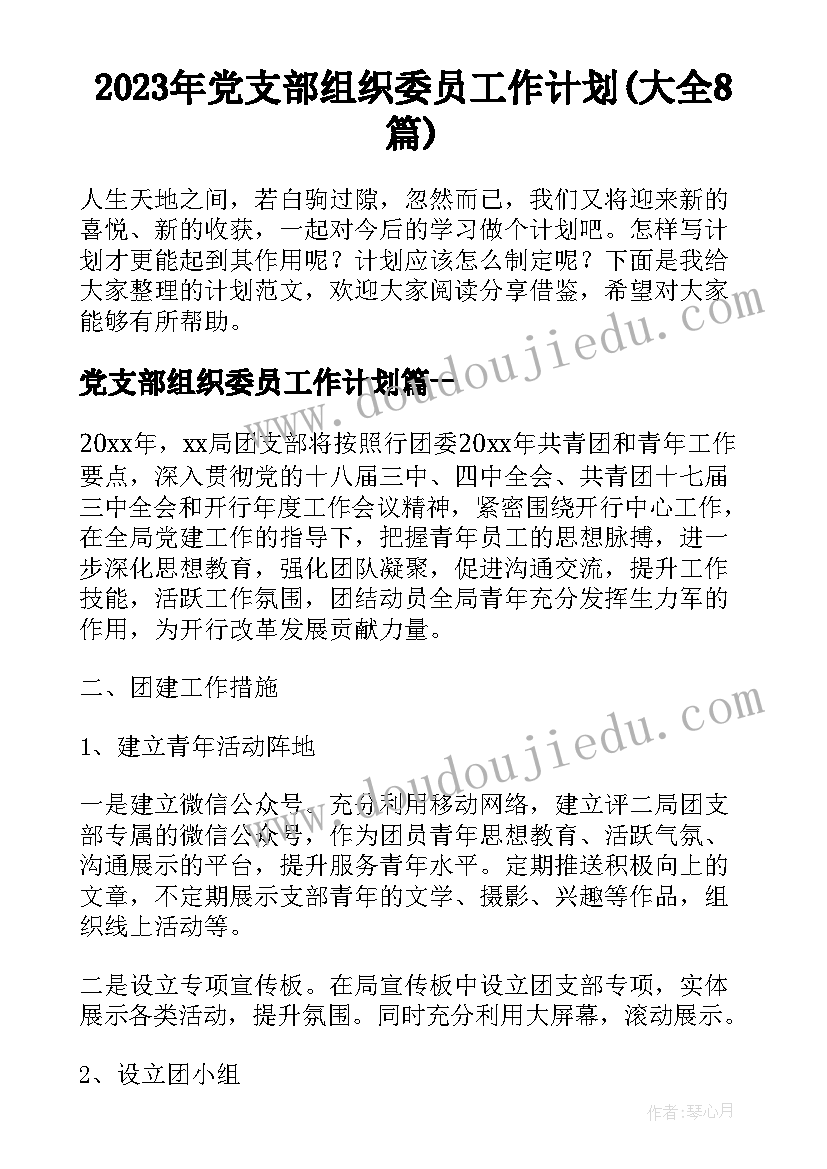 2023年党支部组织委员工作计划(大全8篇)