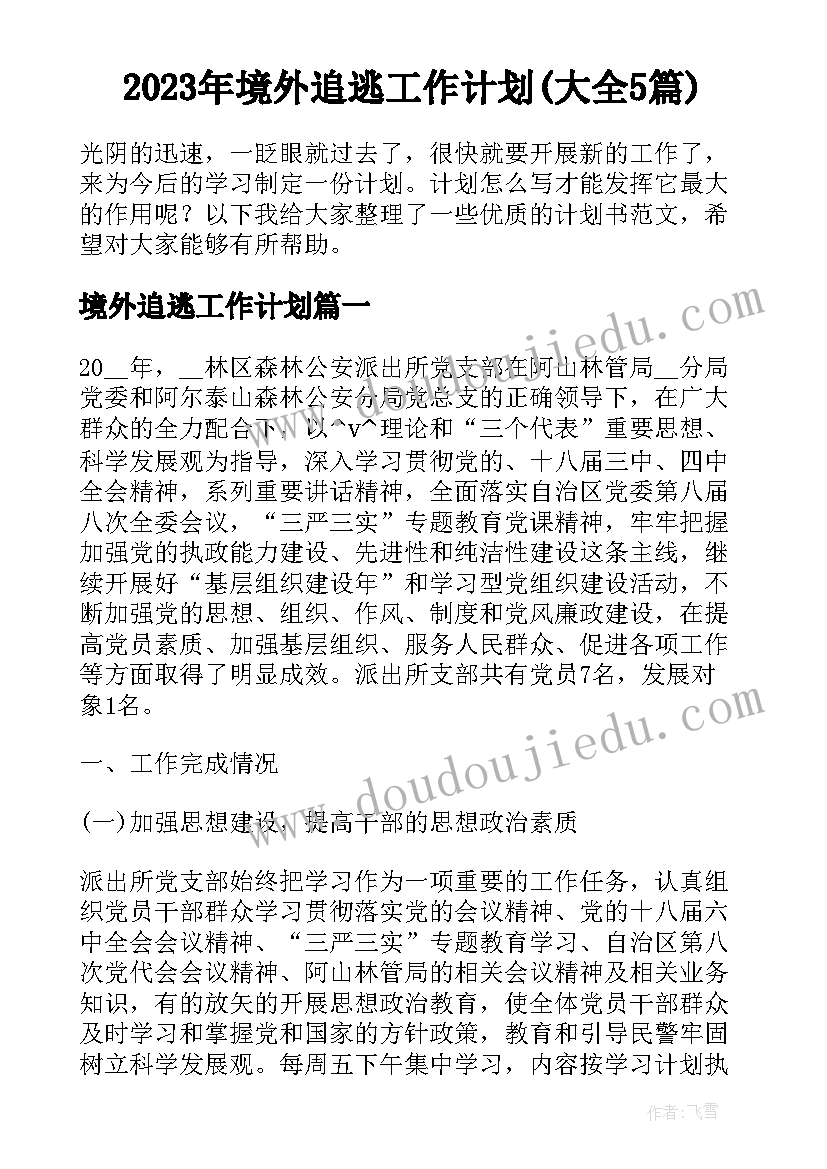 2023年境外追逃工作计划(大全5篇)