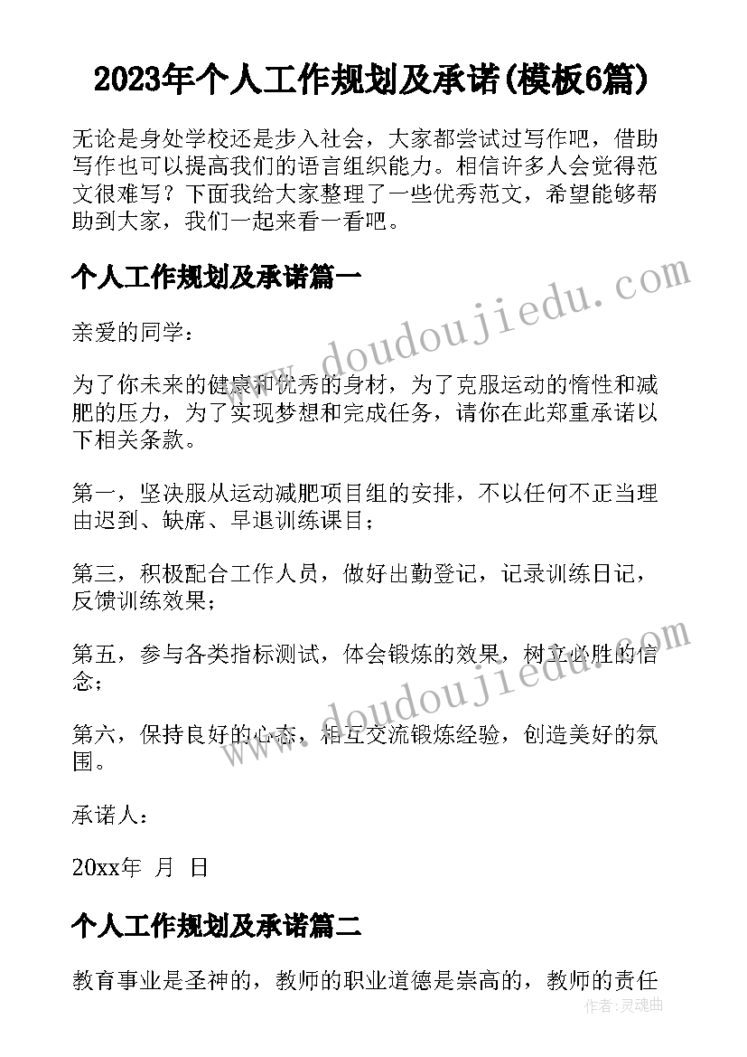 2023年个人工作规划及承诺(模板6篇)