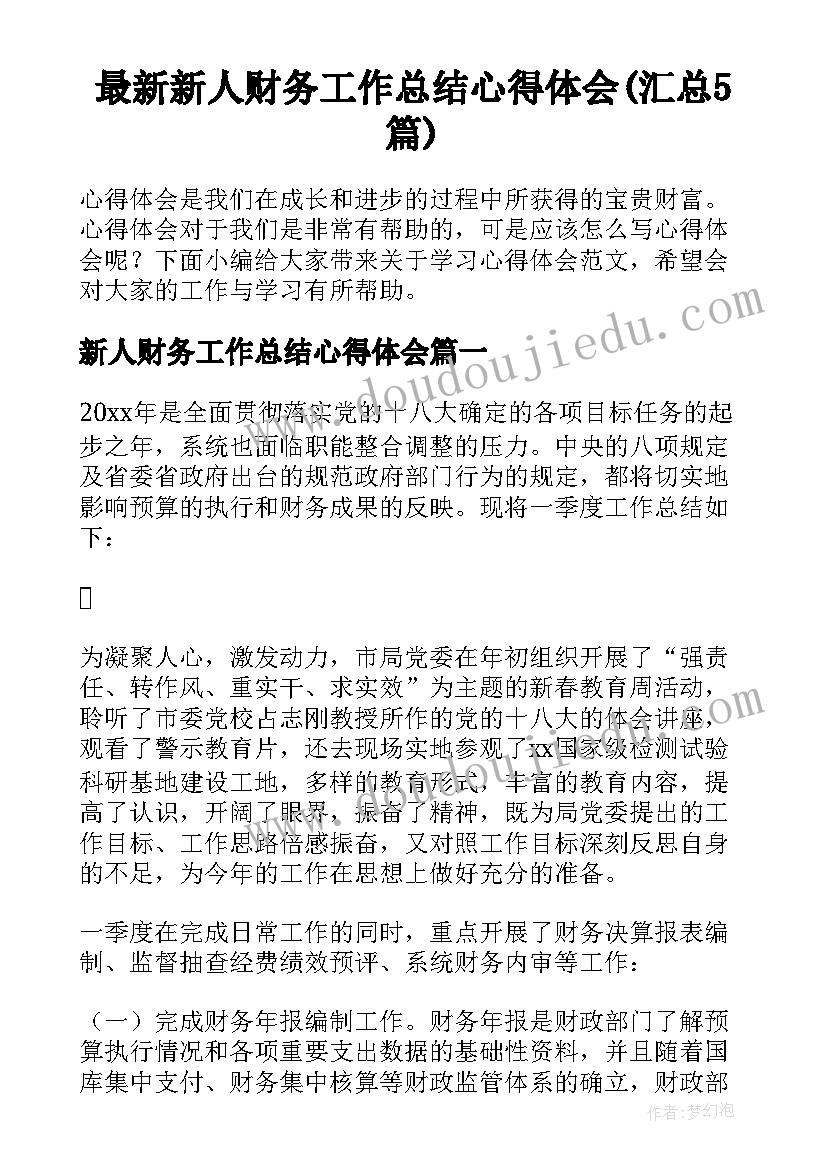 最新新人财务工作总结心得体会(汇总5篇)