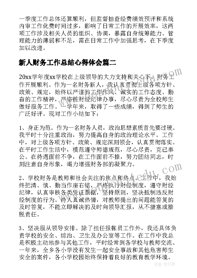 最新新人财务工作总结心得体会(汇总5篇)