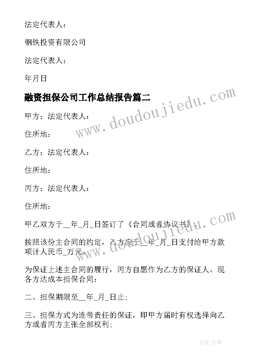 融资担保公司工作总结报告(模板5篇)