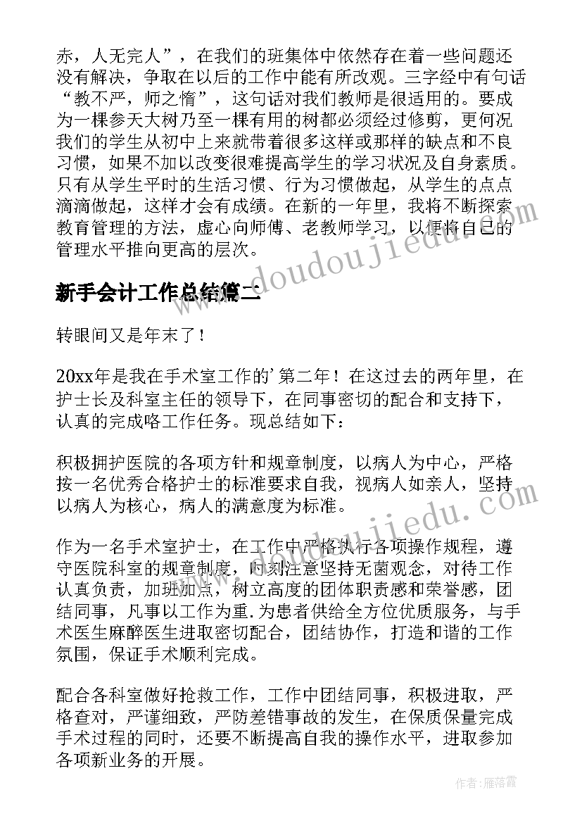 2023年新手会计工作总结(优质9篇)