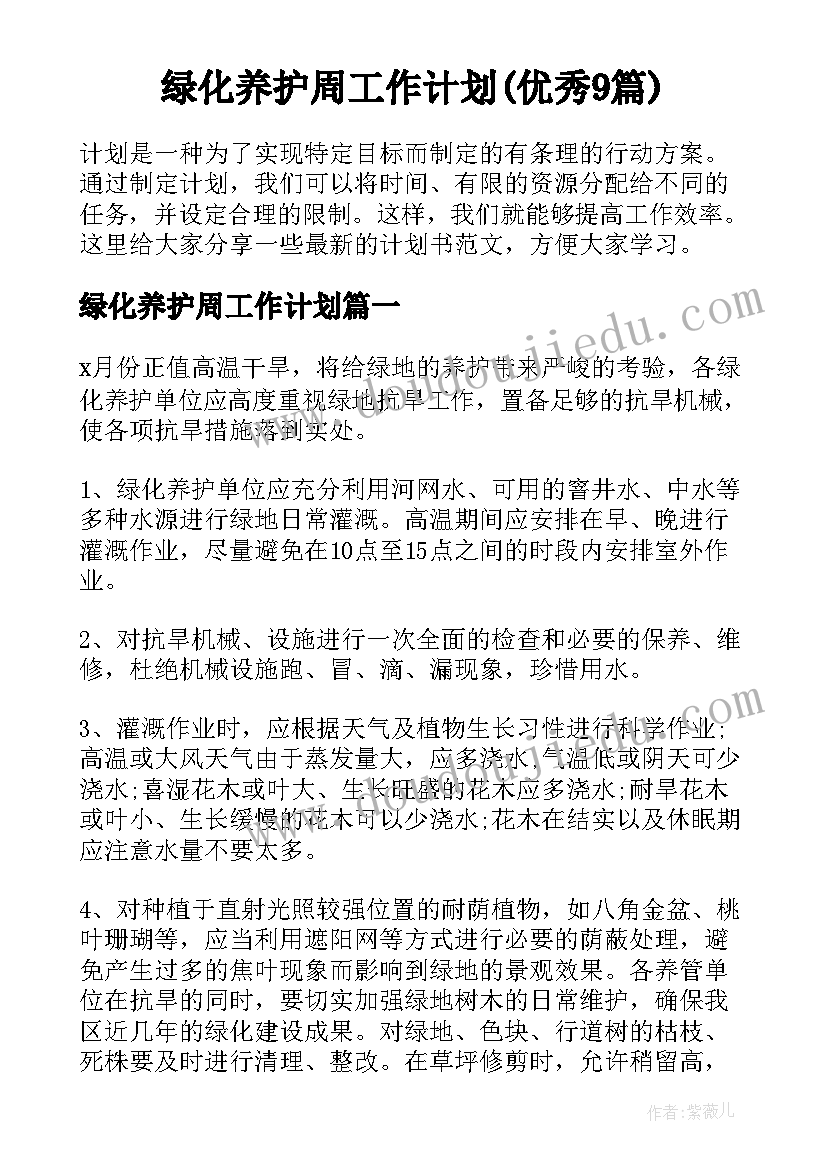 街头错别字调查报告的格式 街头错别字调查报告(通用7篇)