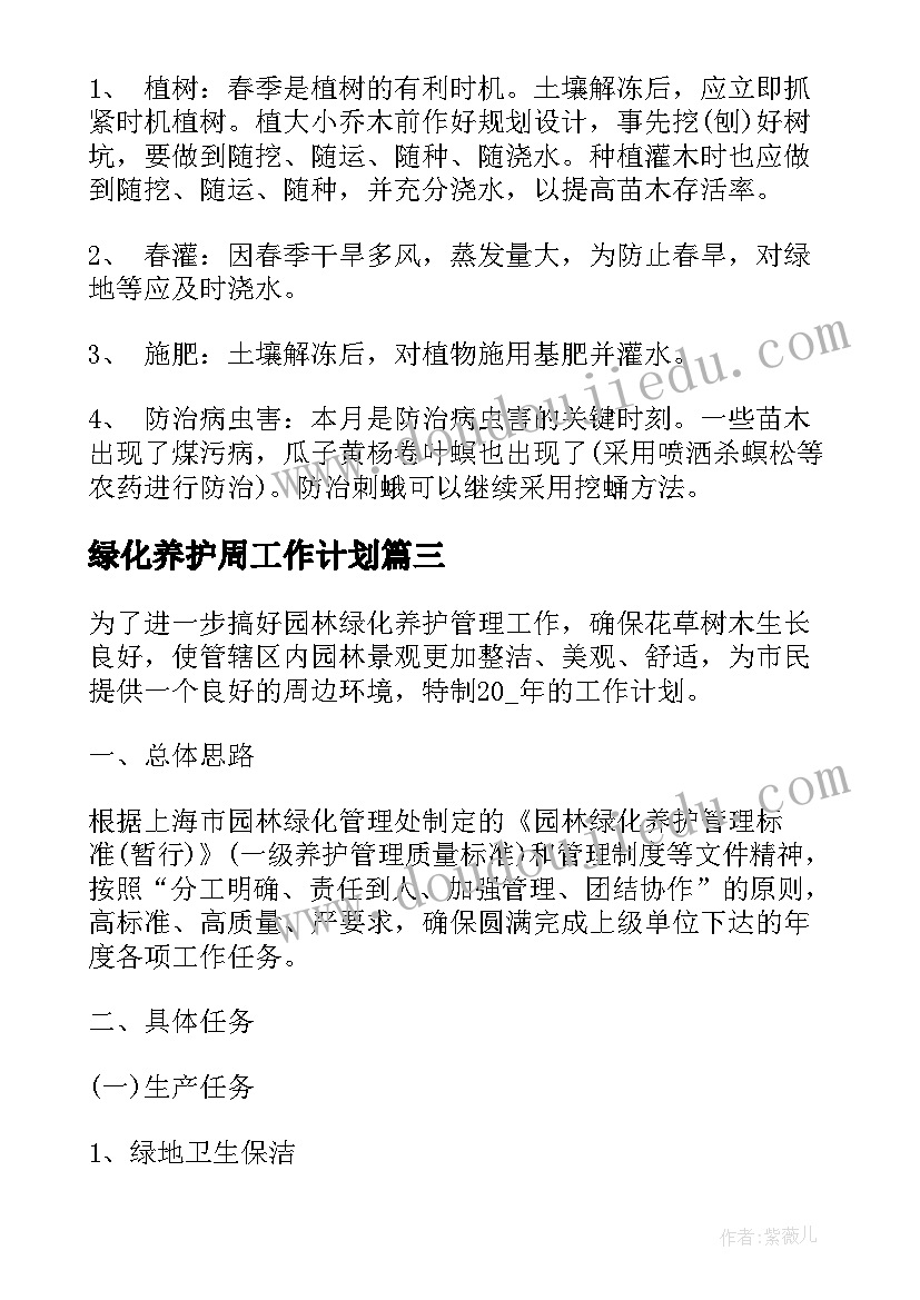 街头错别字调查报告的格式 街头错别字调查报告(通用7篇)