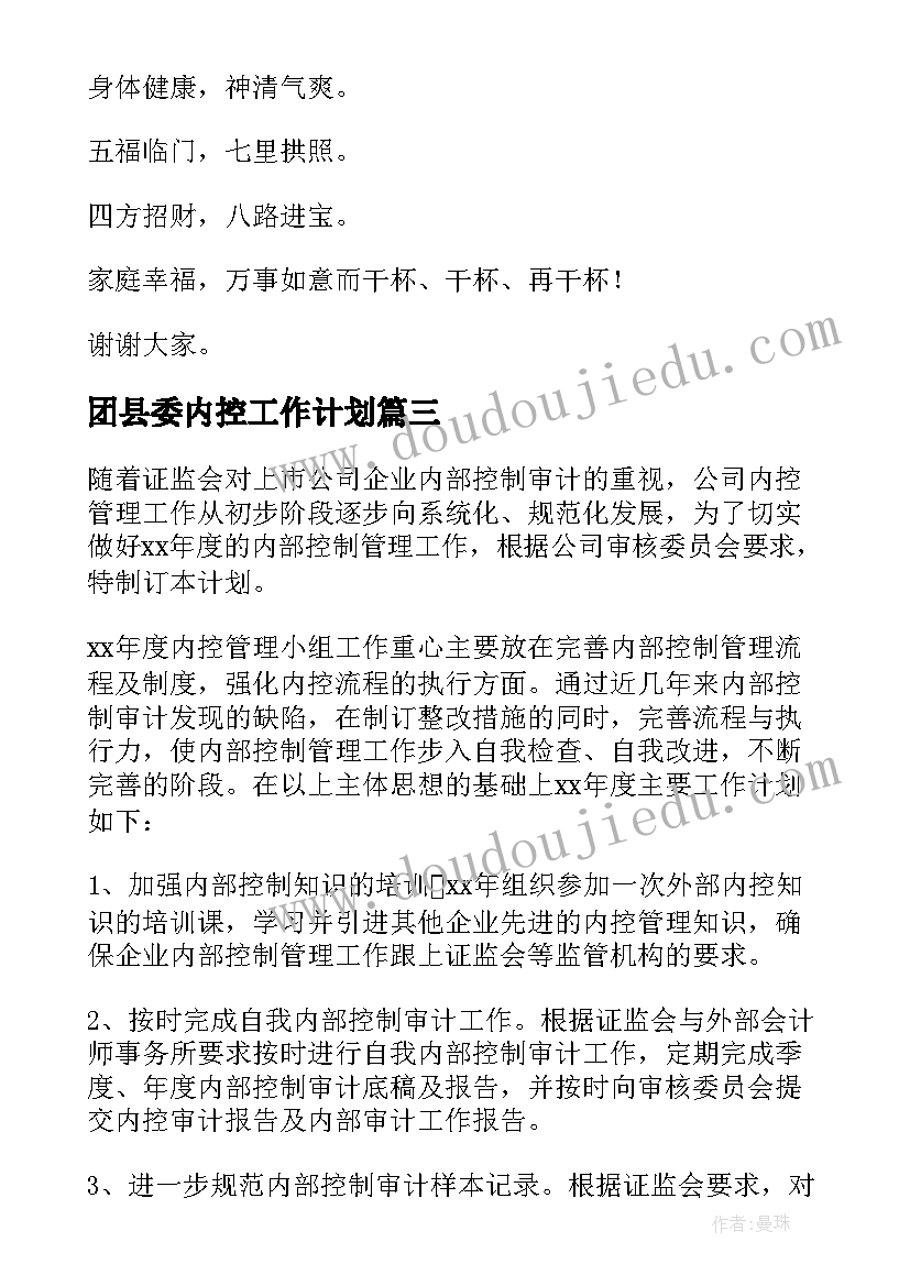 团县委内控工作计划(实用8篇)