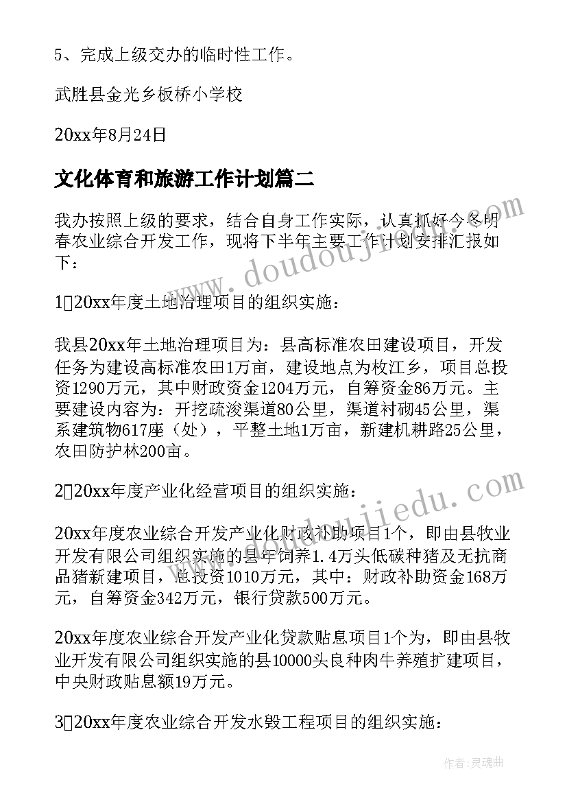 2023年文化体育和旅游工作计划(大全5篇)