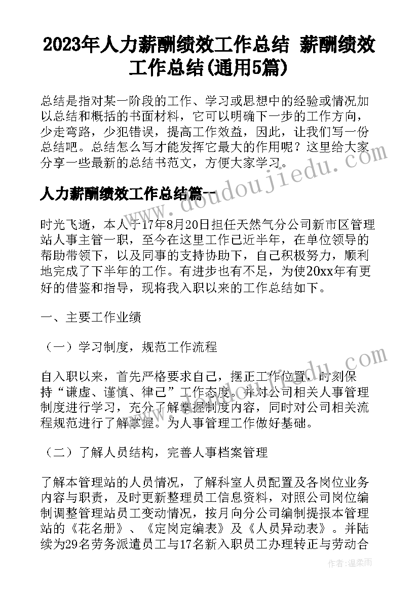 2023年人力薪酬绩效工作总结 薪酬绩效工作总结(通用5篇)