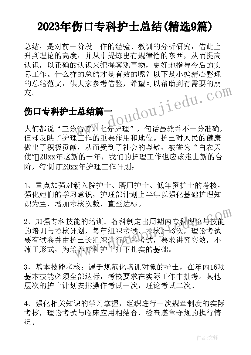 2023年伤口专科护士总结(精选9篇)