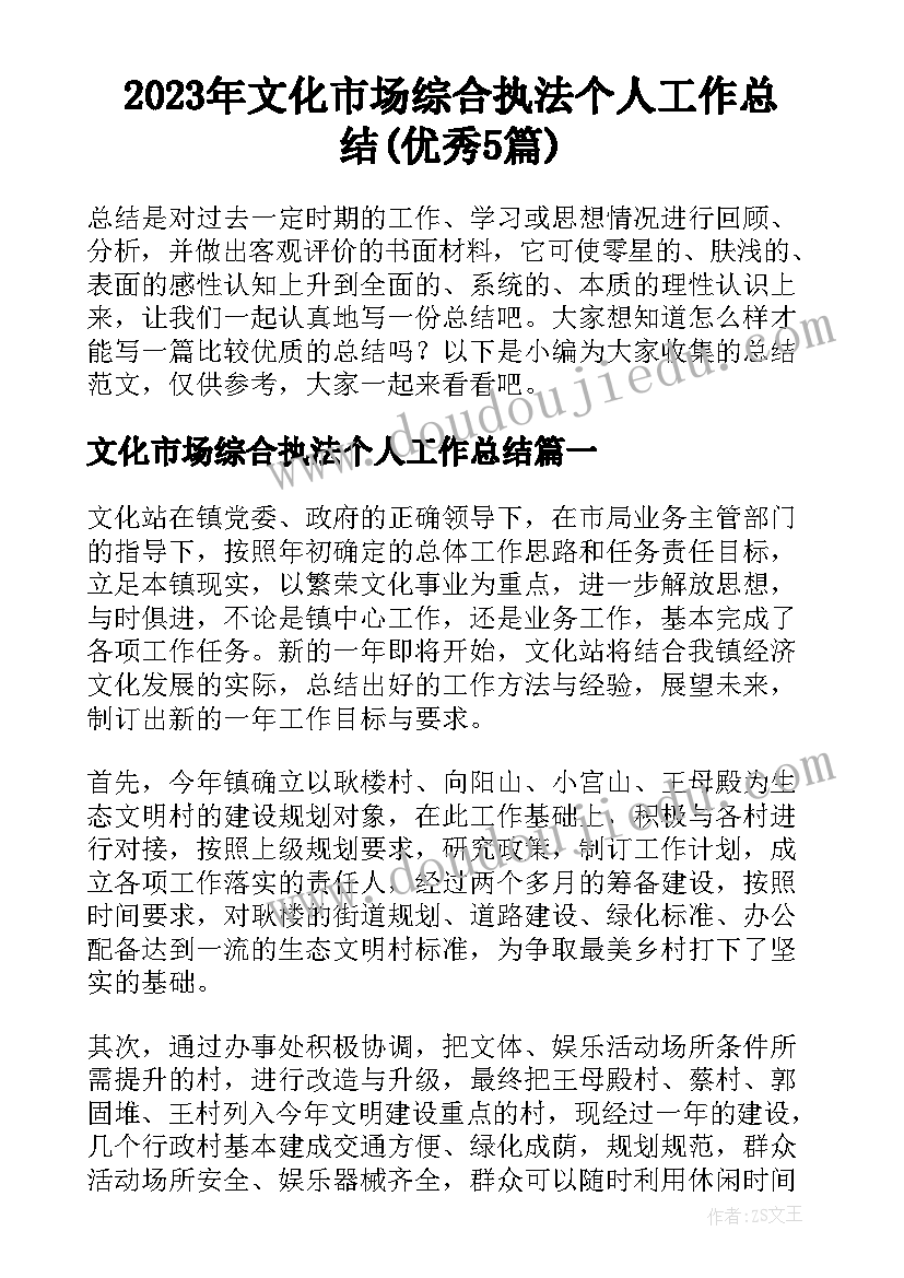 2023年文化市场综合执法个人工作总结(优秀5篇)