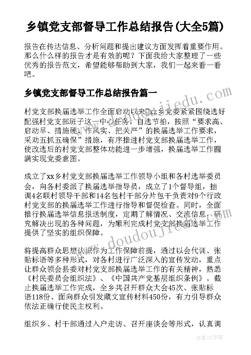 乡镇党支部督导工作总结报告(大全5篇)