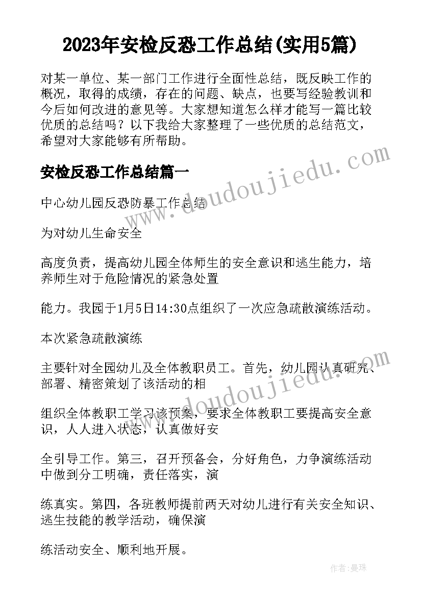 2023年安检反恐工作总结(实用5篇)