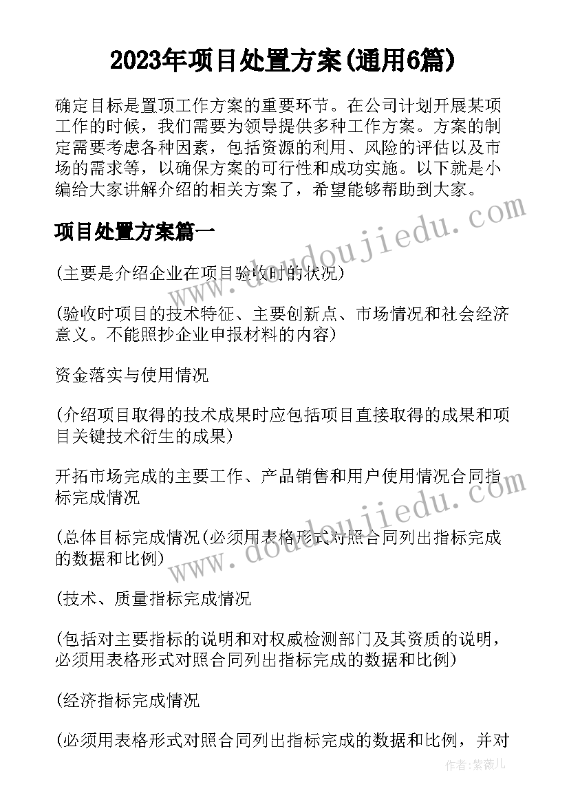 2023年项目处置方案(通用6篇)