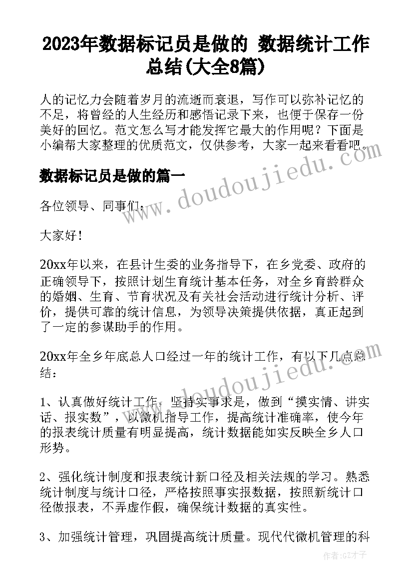 2023年数据标记员是做的 数据统计工作总结(大全8篇)