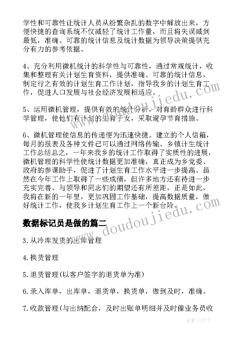 2023年数据标记员是做的 数据统计工作总结(大全8篇)