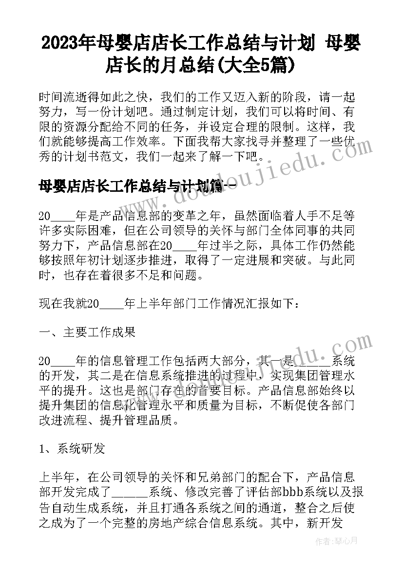 2023年母婴店店长工作总结与计划 母婴店长的月总结(大全5篇)