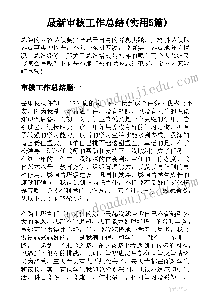 最新审核工作总结(实用5篇)