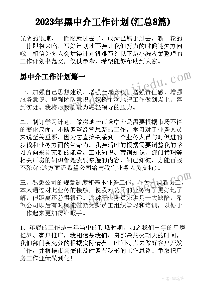 2023年黑中介工作计划(汇总8篇)