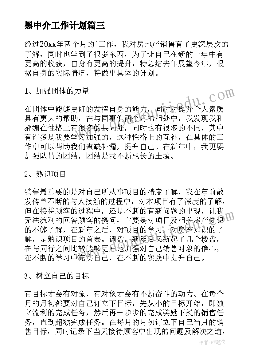 2023年黑中介工作计划(汇总8篇)