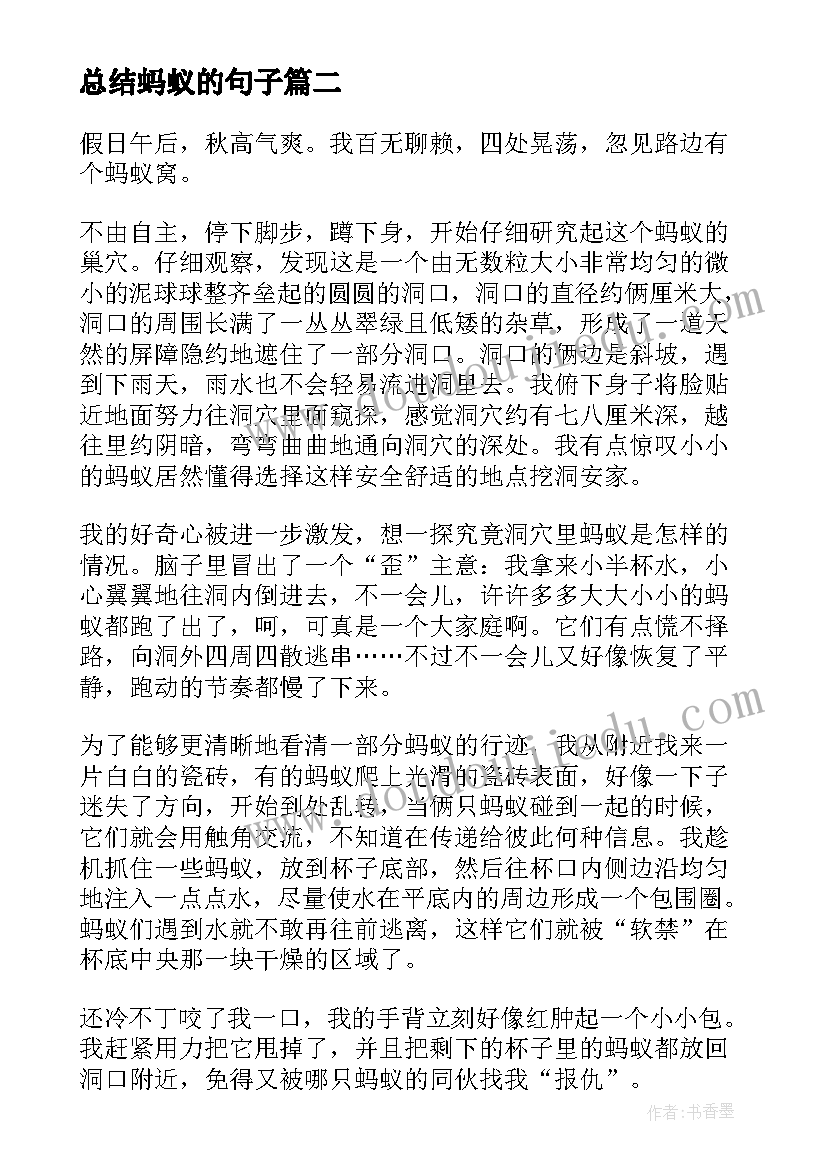 2023年总结蚂蚁的句子(精选10篇)