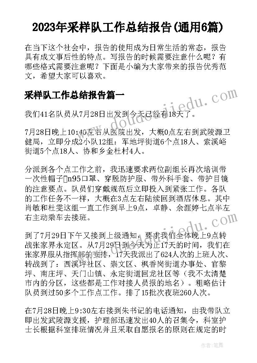 2023年采样队工作总结报告(通用6篇)