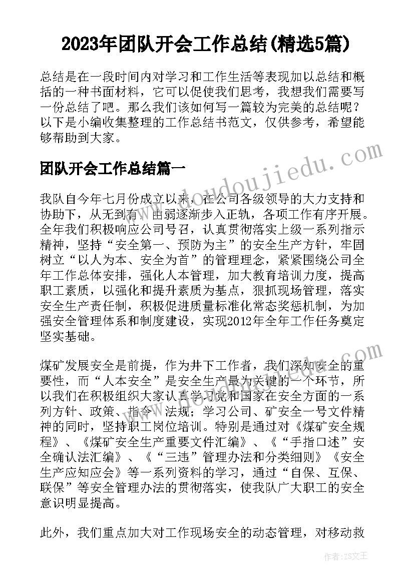 2023年团队开会工作总结(精选5篇)