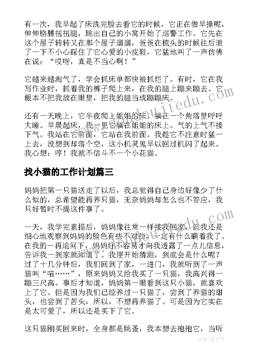 找小猫的工作计划(优质6篇)